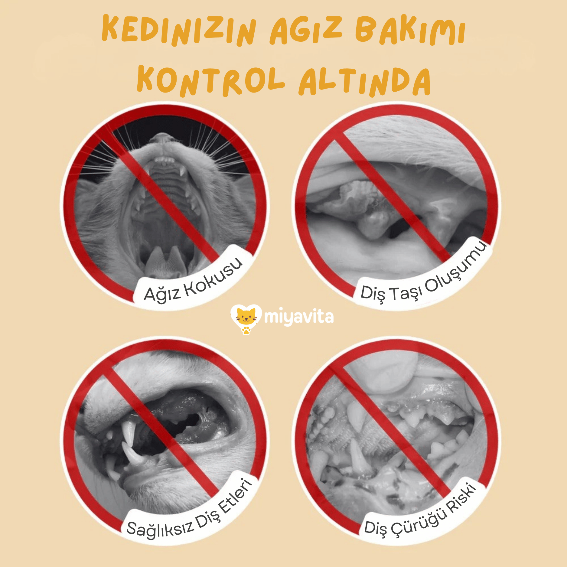Diş & Dil Temizleme Ağız Bakım Seti