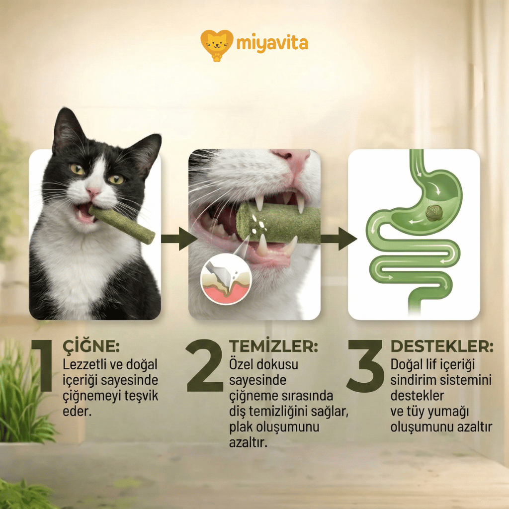 Miyavita Doğal Çim Çiğneme Çubuğu