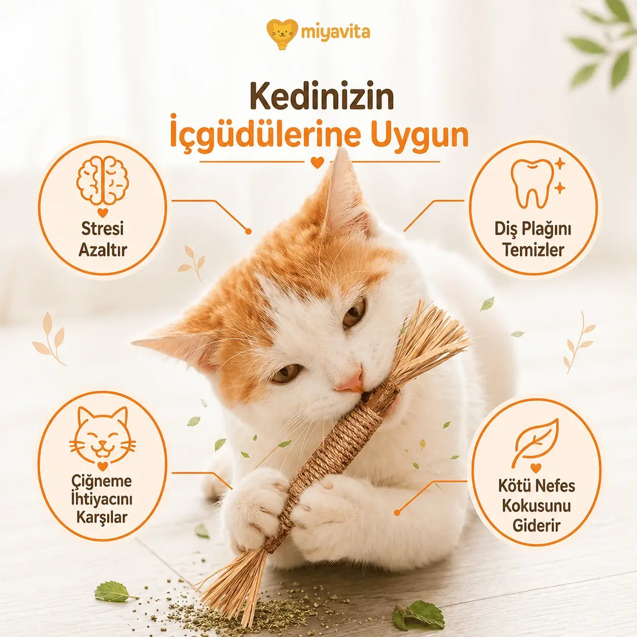 MiyavStick™ Doğal Matatabi Çiğneme Çubuğu