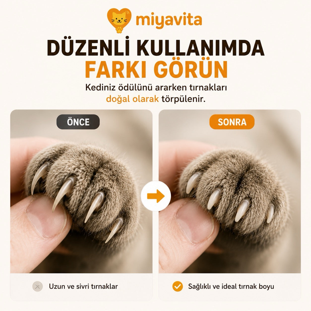 MiyavPati™ Akıllı Ödül ve Tırnak Bakım Oyunu
