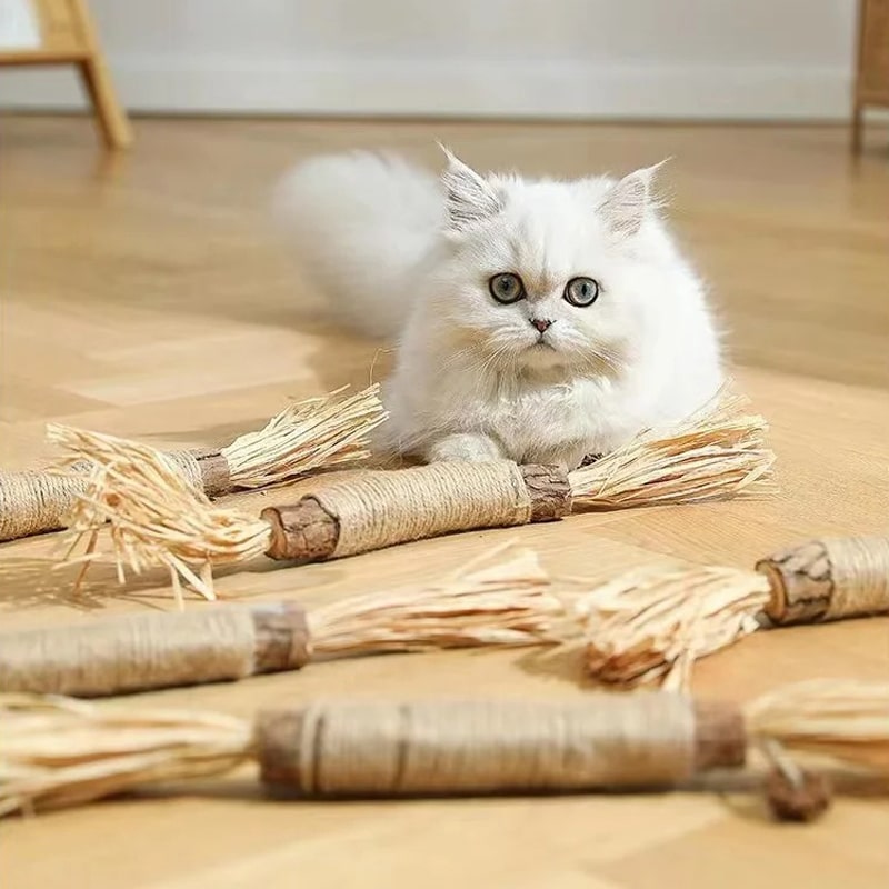 Palitos naturales de matatabi MordiMiau para gatos