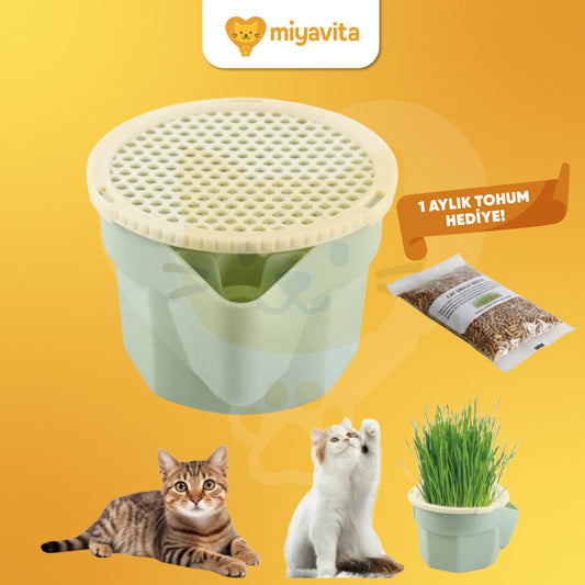 Miyavita Doğal Kedi Çimi Yetiştirme Seti