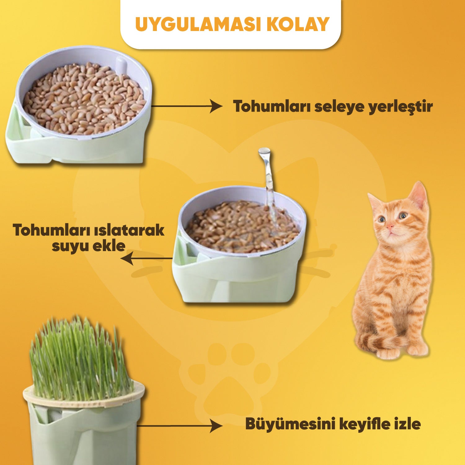 Miyavita Doğal Kedi Çimi Yetiştirme Seti
