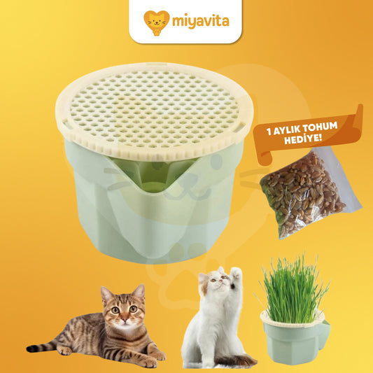 Miyavita Doğal Kedi Çimi Yetiştirme Seti