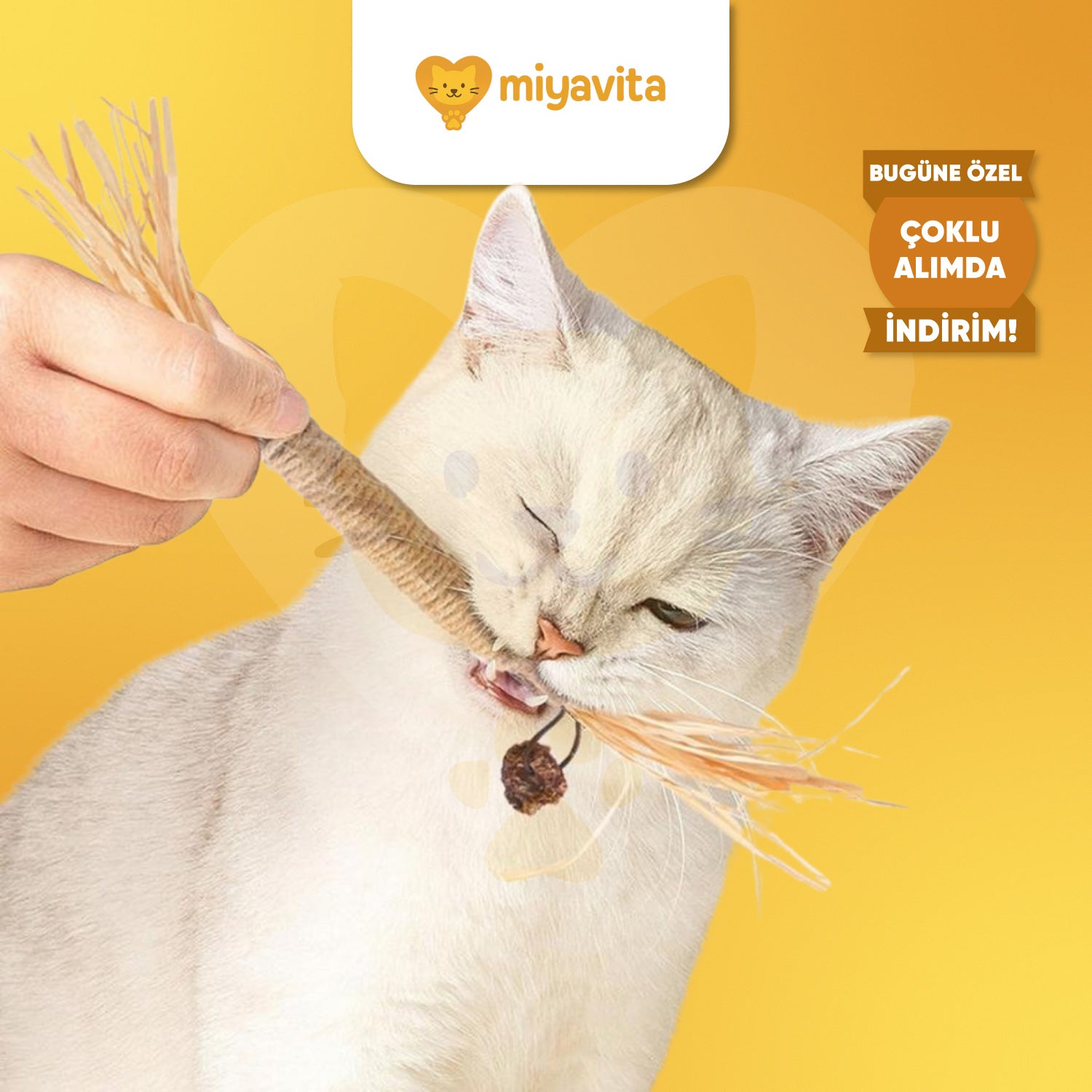 MiyavStick™ Doğal Matatabi Çiğneme Çubuğu