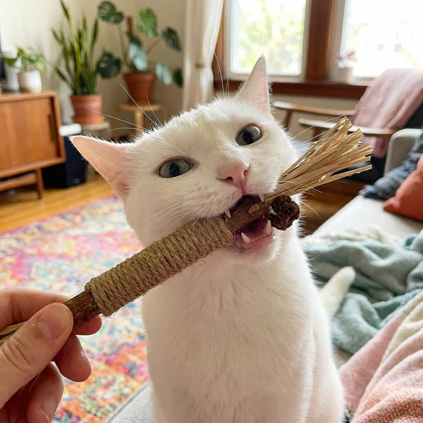 MiyavStick™ Doğal Matatabi Çiğneme Çubuğu
